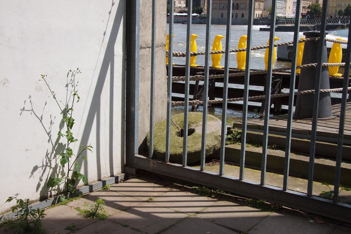 Schody do nebe - FOTOGRAFIE